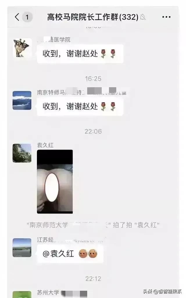 东南大学袁久红被免职,东南大学袁久红本人亲自发文解释