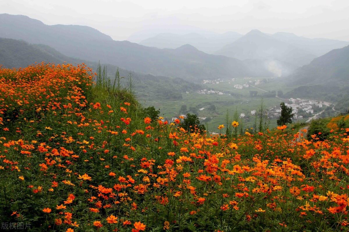 郭进拴走进静升镇,郭进拴原创长篇