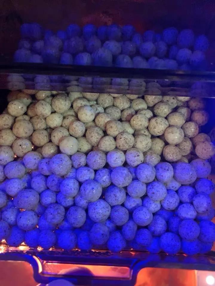 养鱼培养硝化细菌用什么滤材,养鱼哪种细菌滤材好