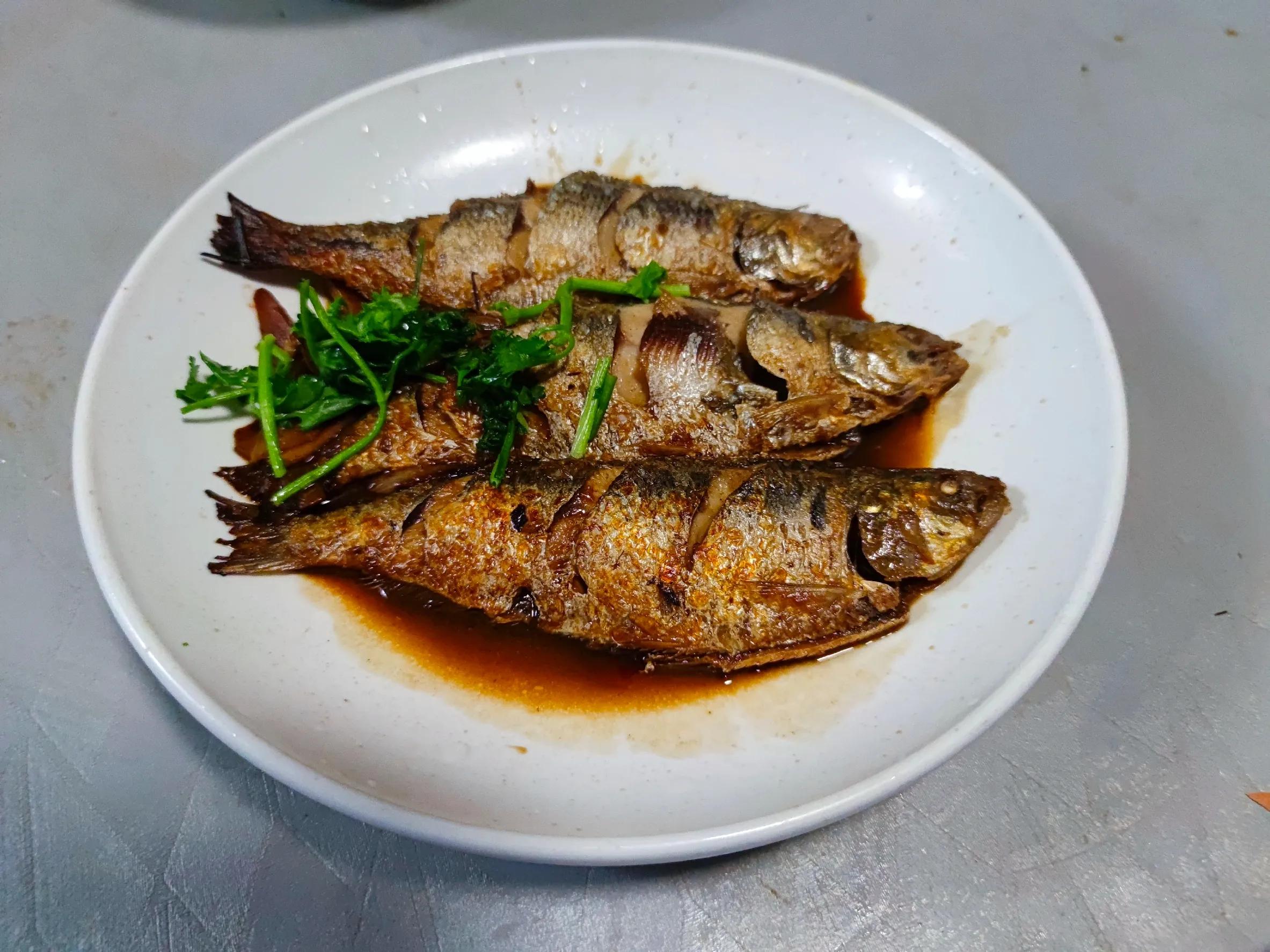 最便宜的8种海鱼,海鱼最便宜的有哪几种