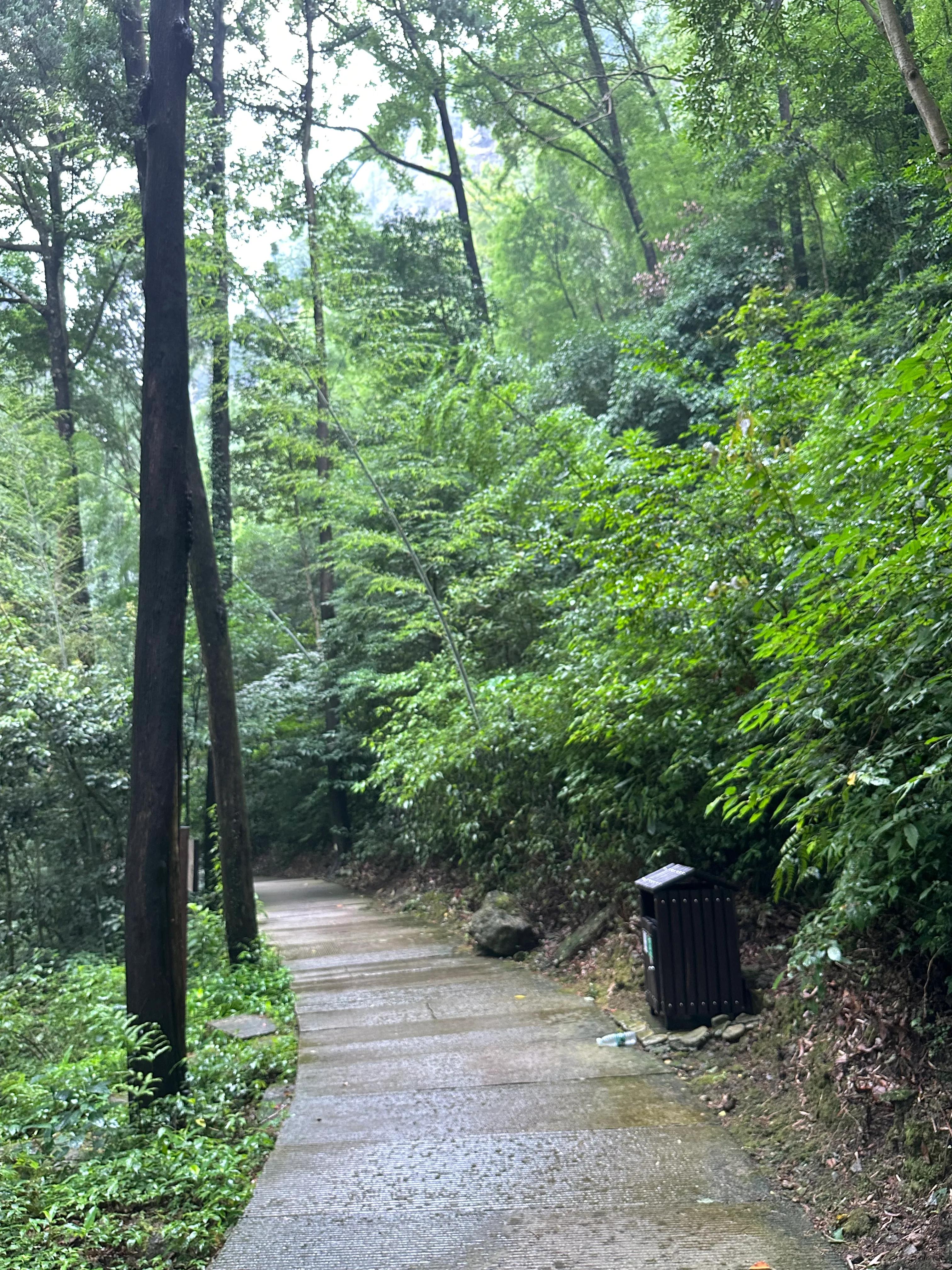 浙江旅游雁荡山景区攻略,浙江自驾雁荡山
