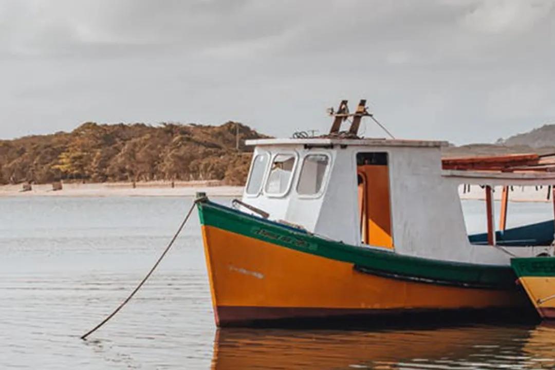 男人和女人谁更现实完整版,男人和女人谁更现实