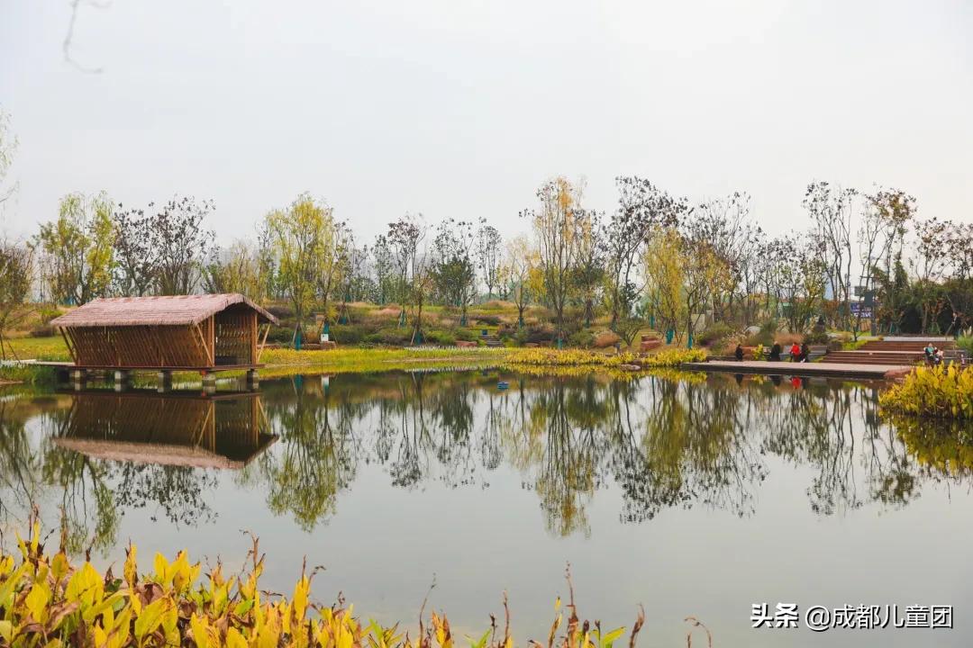 东安湖公园哪些开了,东安湖公园何时开放官方权威解答