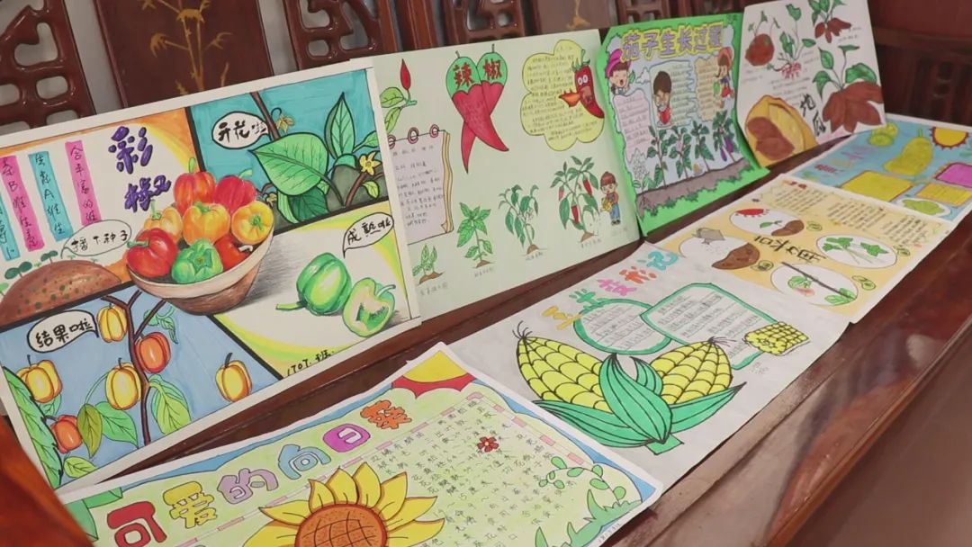 平南甘旺中心小学,平南镇中心小学阳光教育