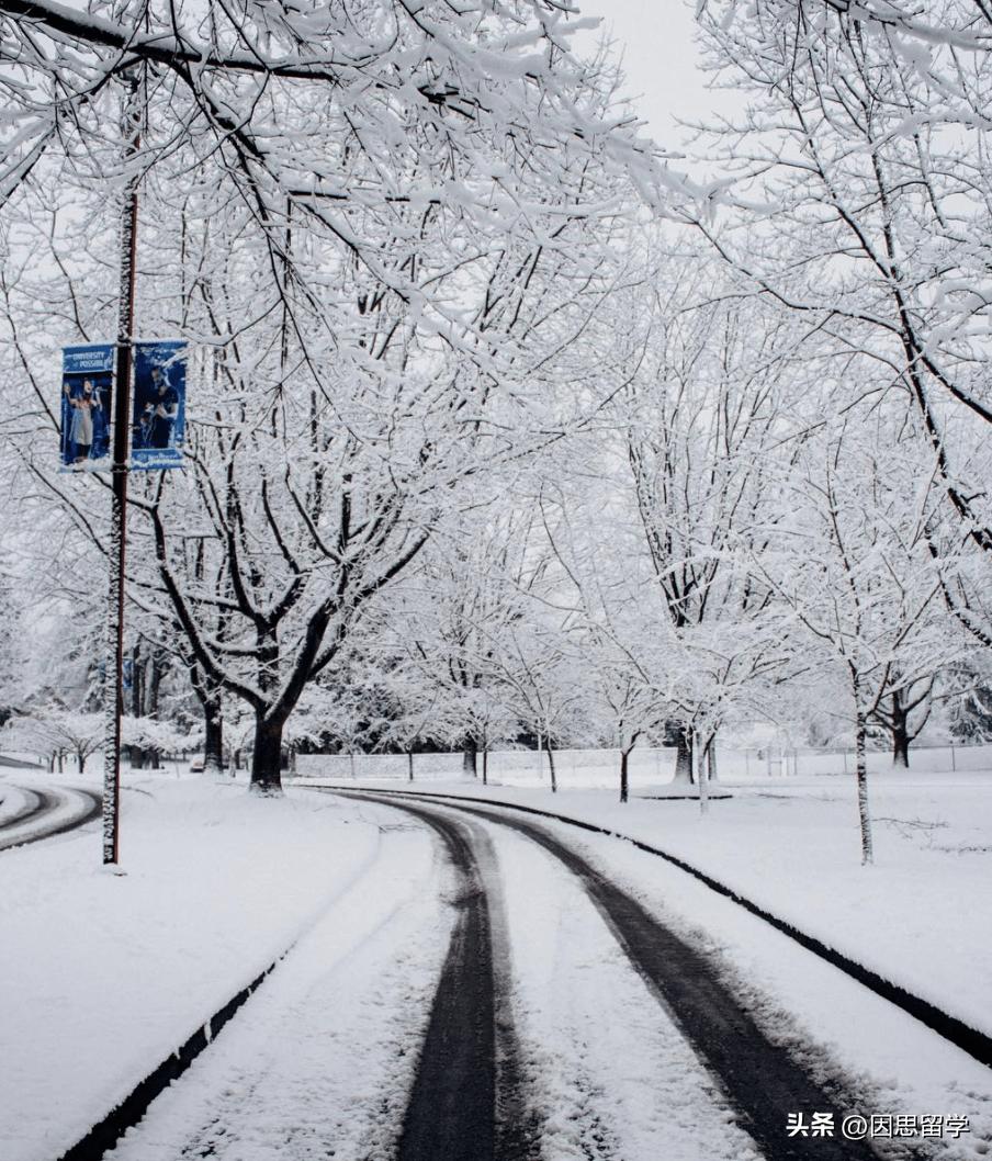 传说中的分控王者!美国西北大学到底有怎样的实力?