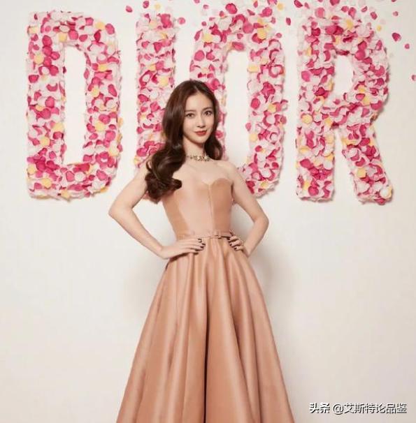 迪奥职业生涯,迪奥的人生经历