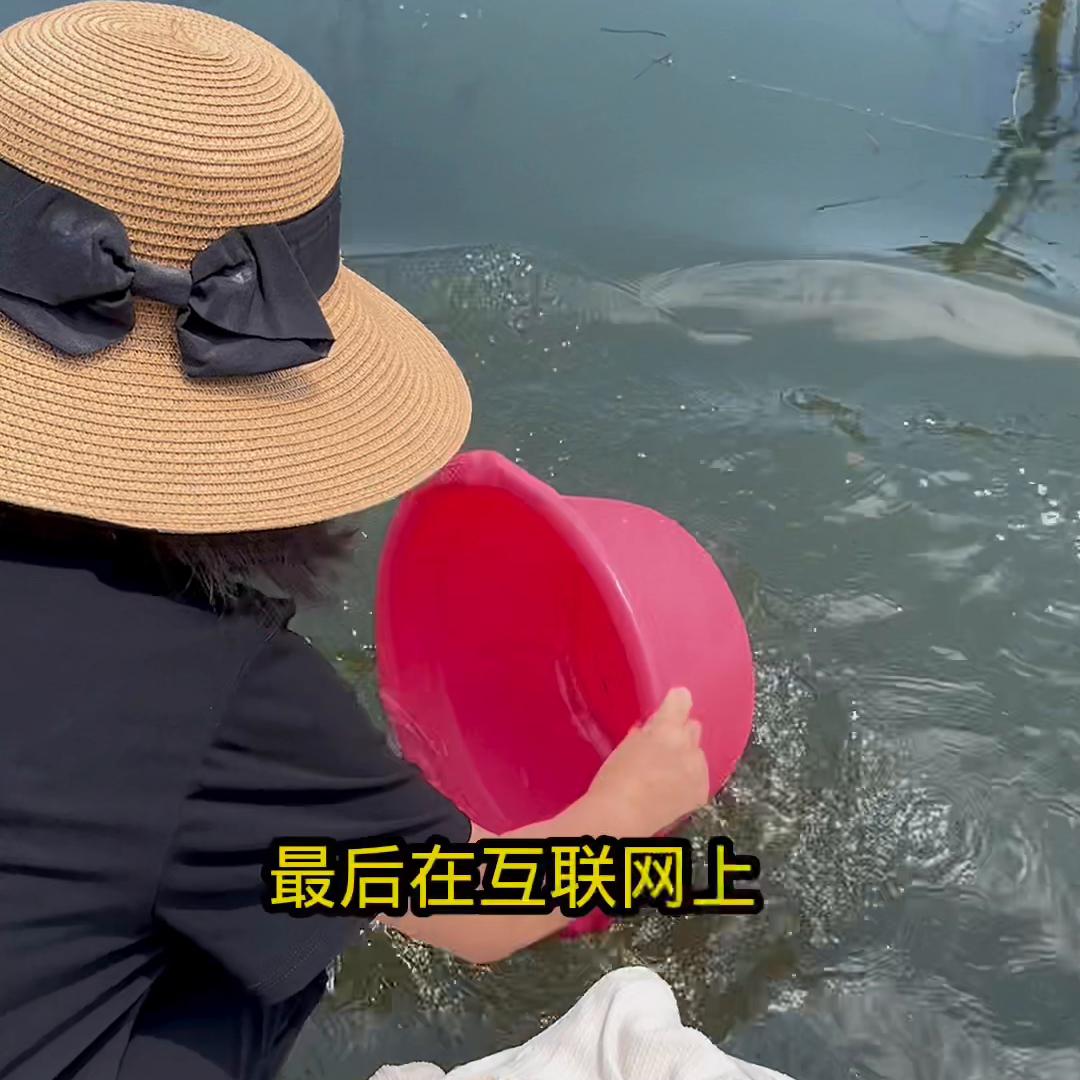 想拍短视频又不敢，怎么办？#短视频创业