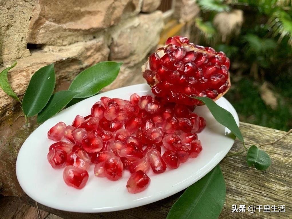 突尼斯软籽石榴和河阴石榴的区别,正宗原产地突尼斯第一名软籽石榴