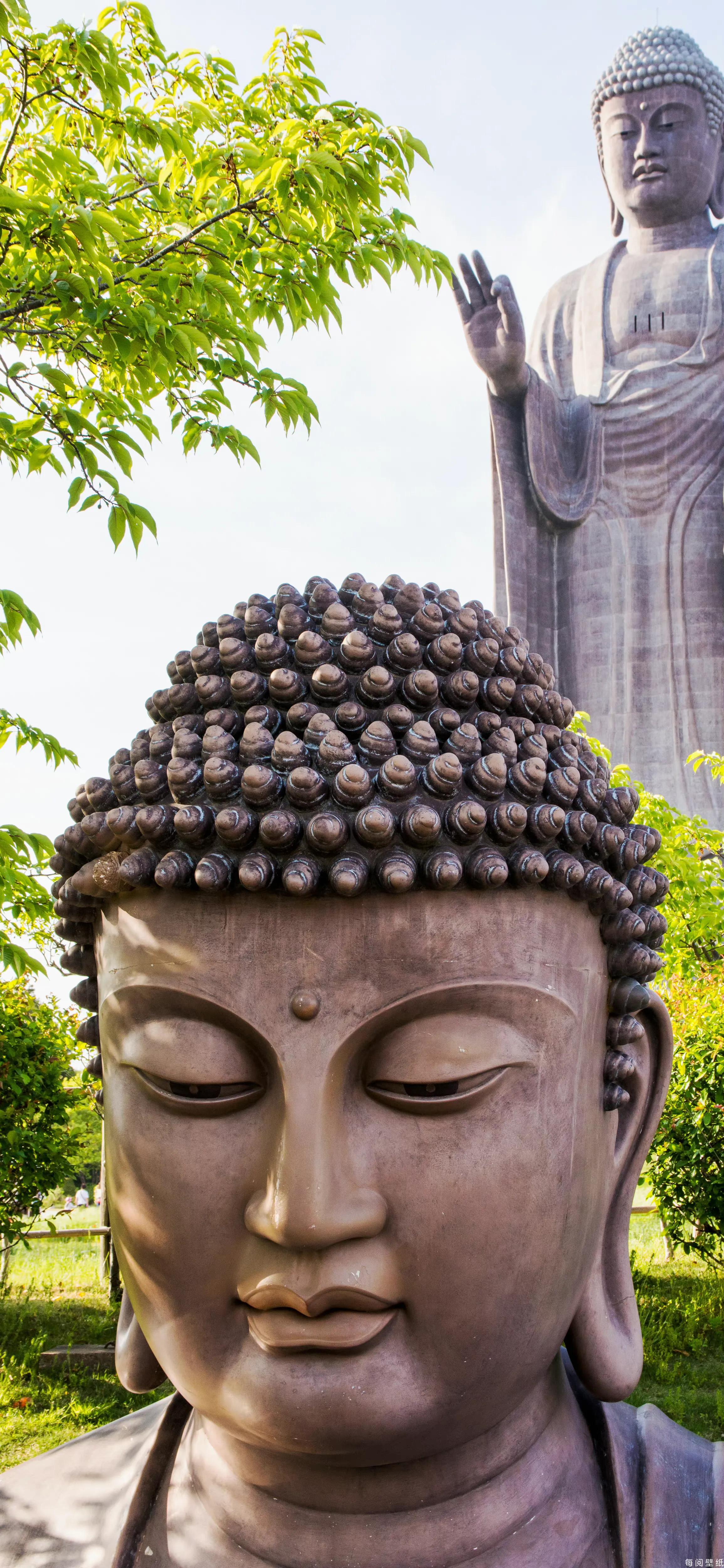 佛佑平安手机壁纸,手机壁纸佛祖