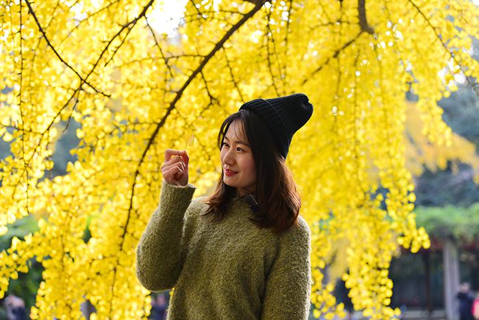 985名校！四川大学公布2023年艺术类专业录取分数线