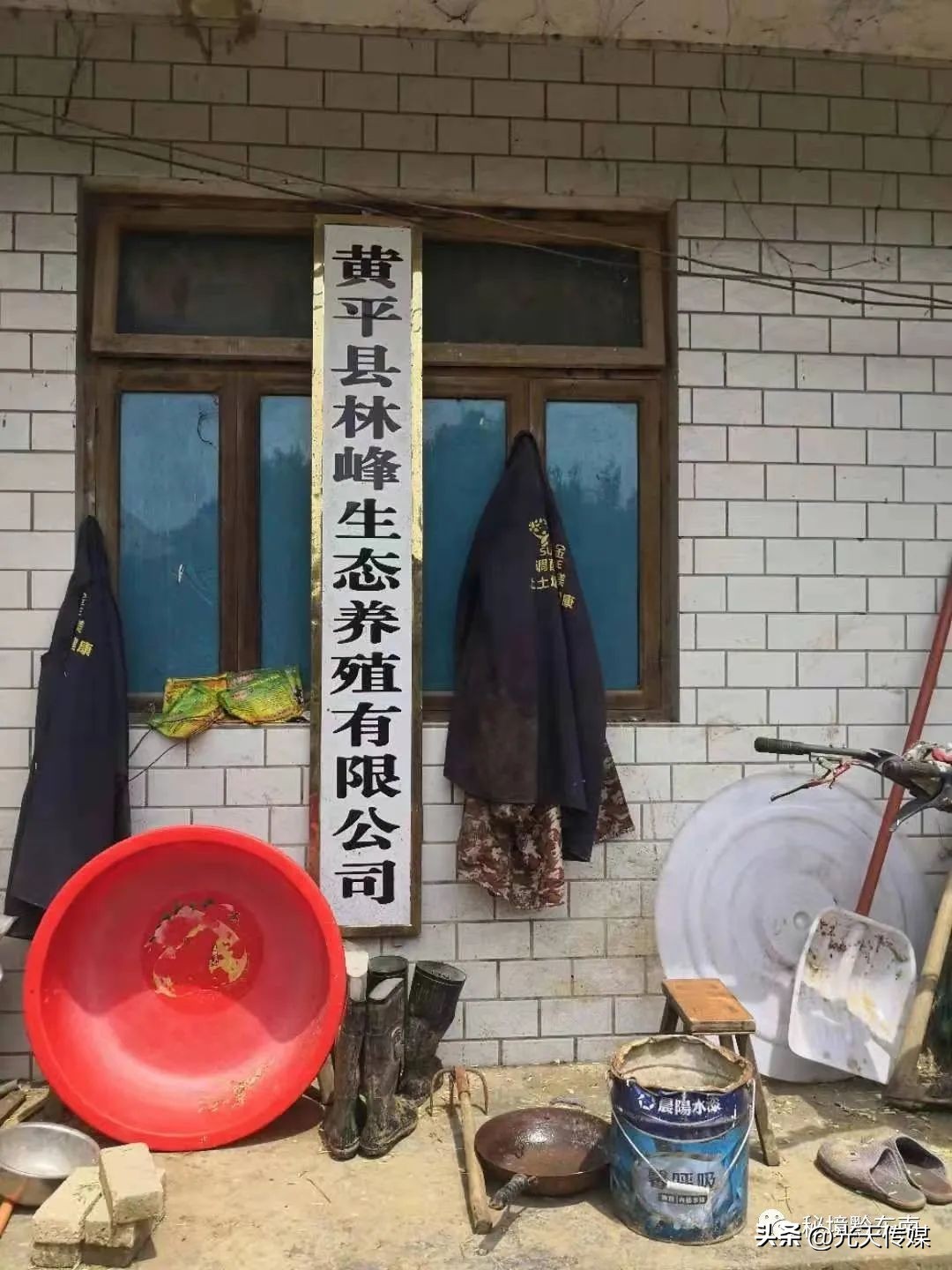 丹寨县营养餐配送,黄平县学生营养餐