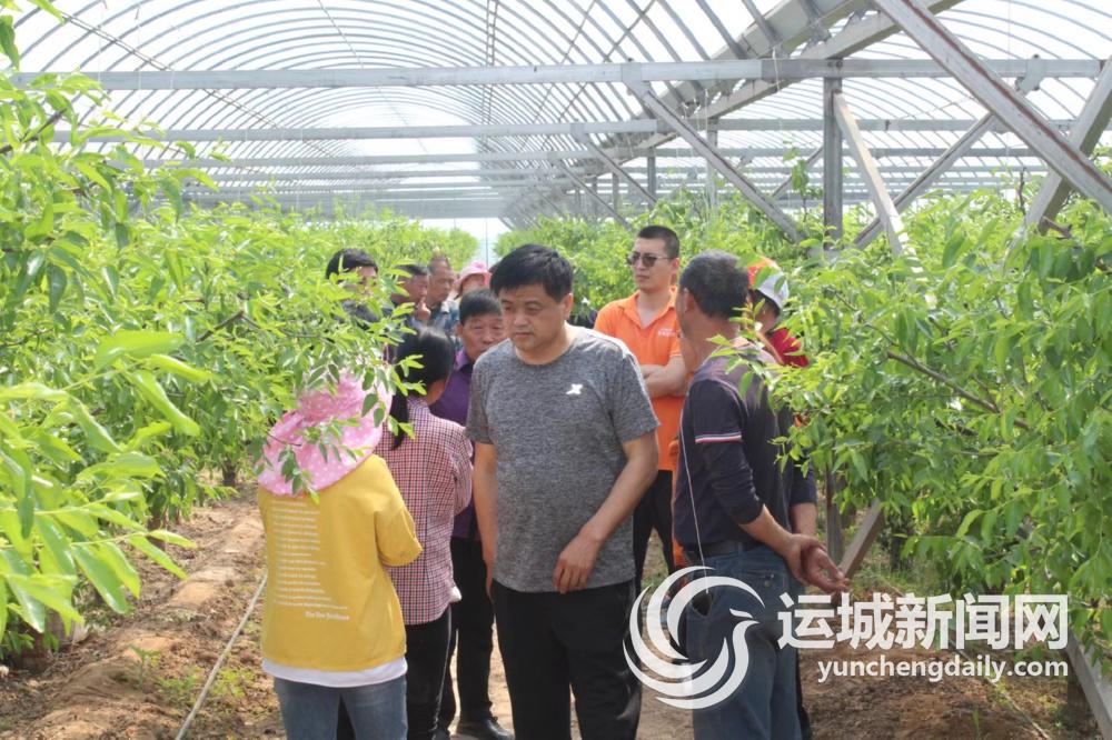 临猗县庙上乡,临猗县庙上乡人口