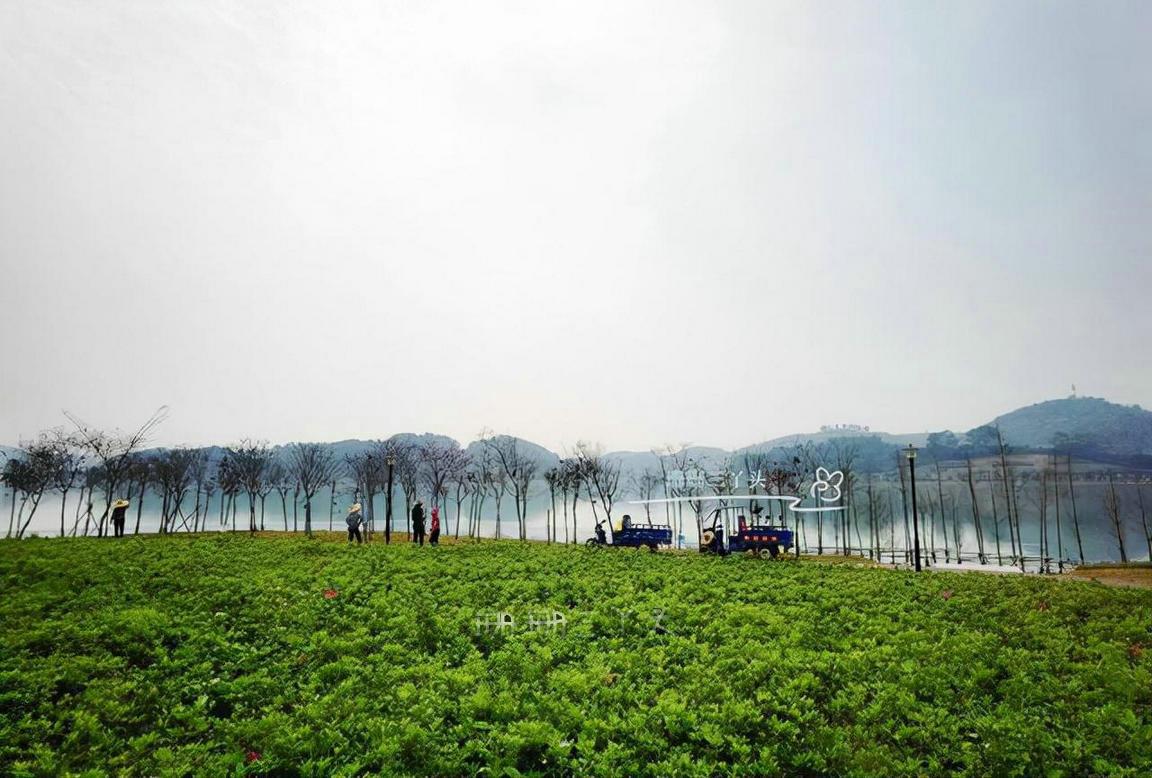 广州增城旅游攻略必去景点,广州增城旅游全攻略