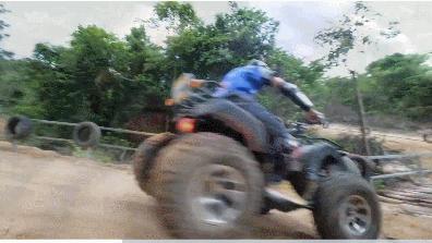 旅游年卡飞熊乐园,水上乐园年卡团购限几人