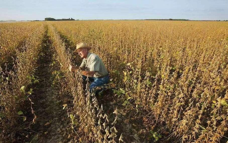 哪一年中国加入wto世贸组织,中国参加世贸谈判持续了多长时间