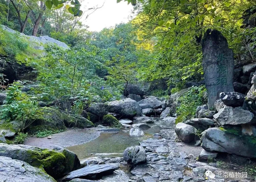 北京门头沟海淀网红打卡地,北京海淀区网红打卡地好吃的