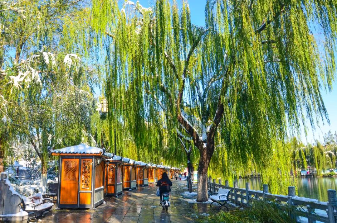 济南必去的打卡地,济南必去的十大打卡地