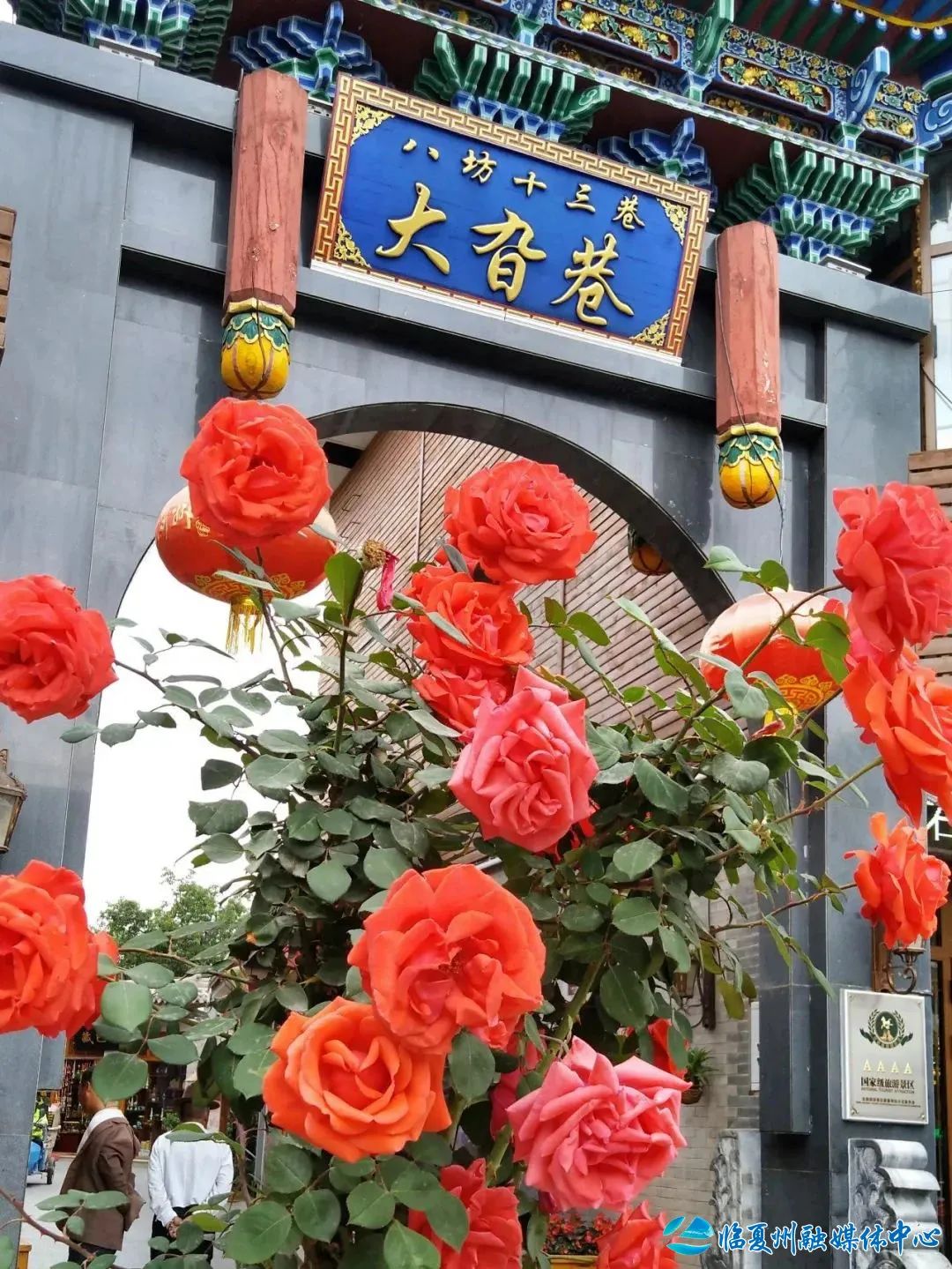 2024骞村宸磋兒閰嶈壊,缁胯壊鐨勫宸磋兒閰嶈壊