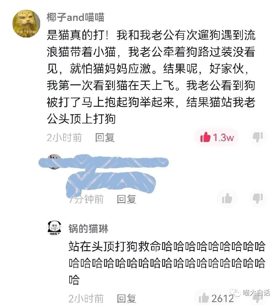 “千万别随便取淘宝名字！！”哈哈哈哈哈哈太社死了救命