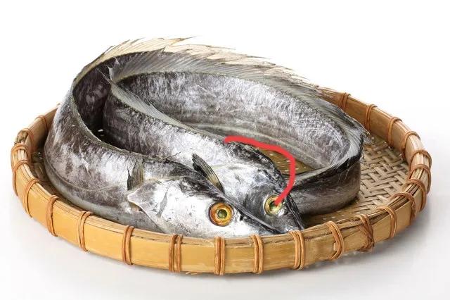 带鱼是深海养殖吗,带鱼是深海的还是养殖的