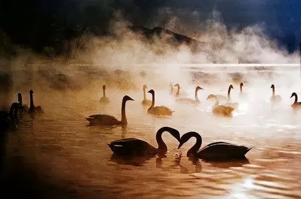 艺术家怎么表达自己的情绪,艺术家表达孤独