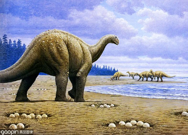 侏罗纪世界进化3恐龙打架,恐龙电影侏罗纪3