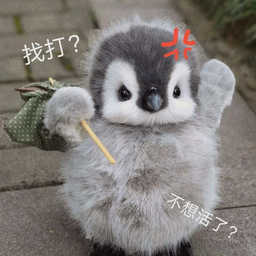 表情包竖大拇指沙雕,我的耳朵竖起来听别人八卦表情包