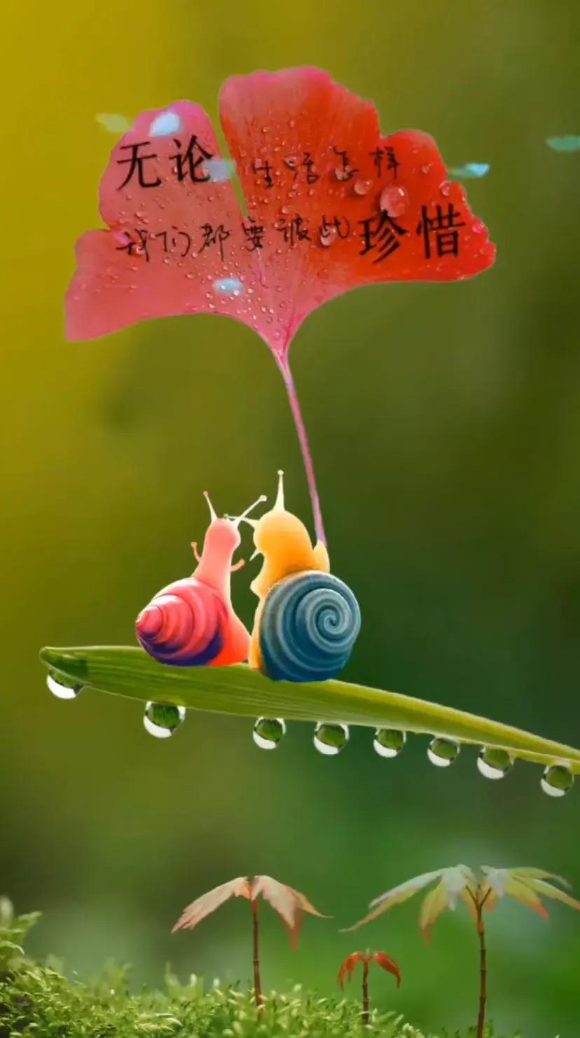 表白的文案长文案,表白文案特别长可复制