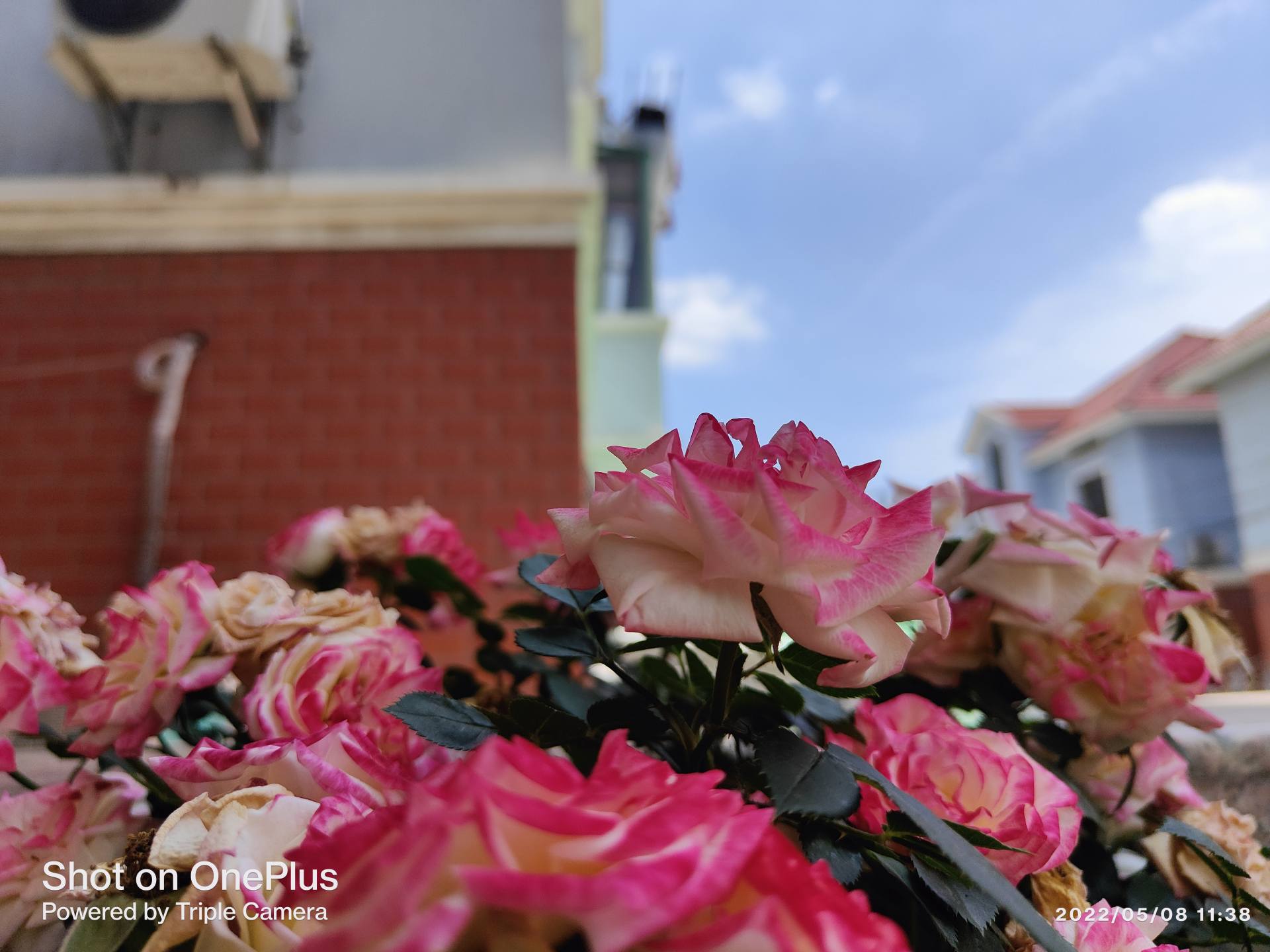 佳能100d新款价格,佳能100d同价位更有性价比的相机