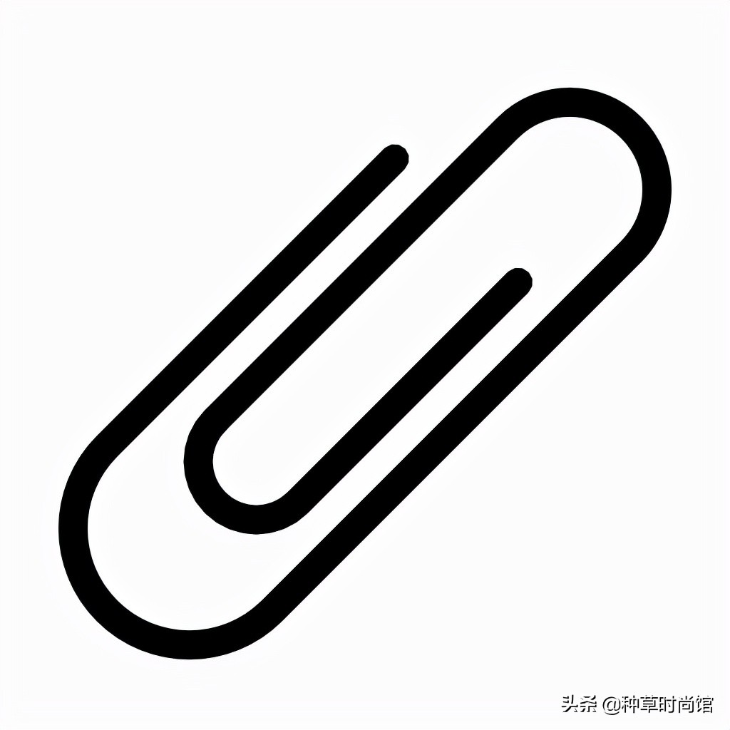 全网爆火的6条加绒黑丝测评，帮你避雷