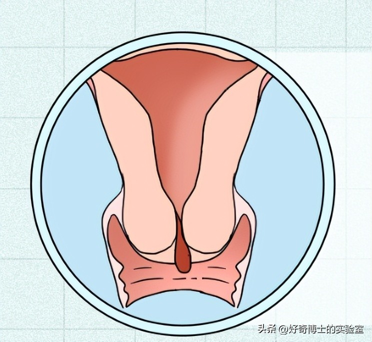 生理活动后有什么变化,生活后五个心理变化