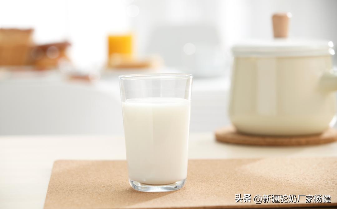 骆驼奶被称为什么呢,骆驼奶的真相大揭秘