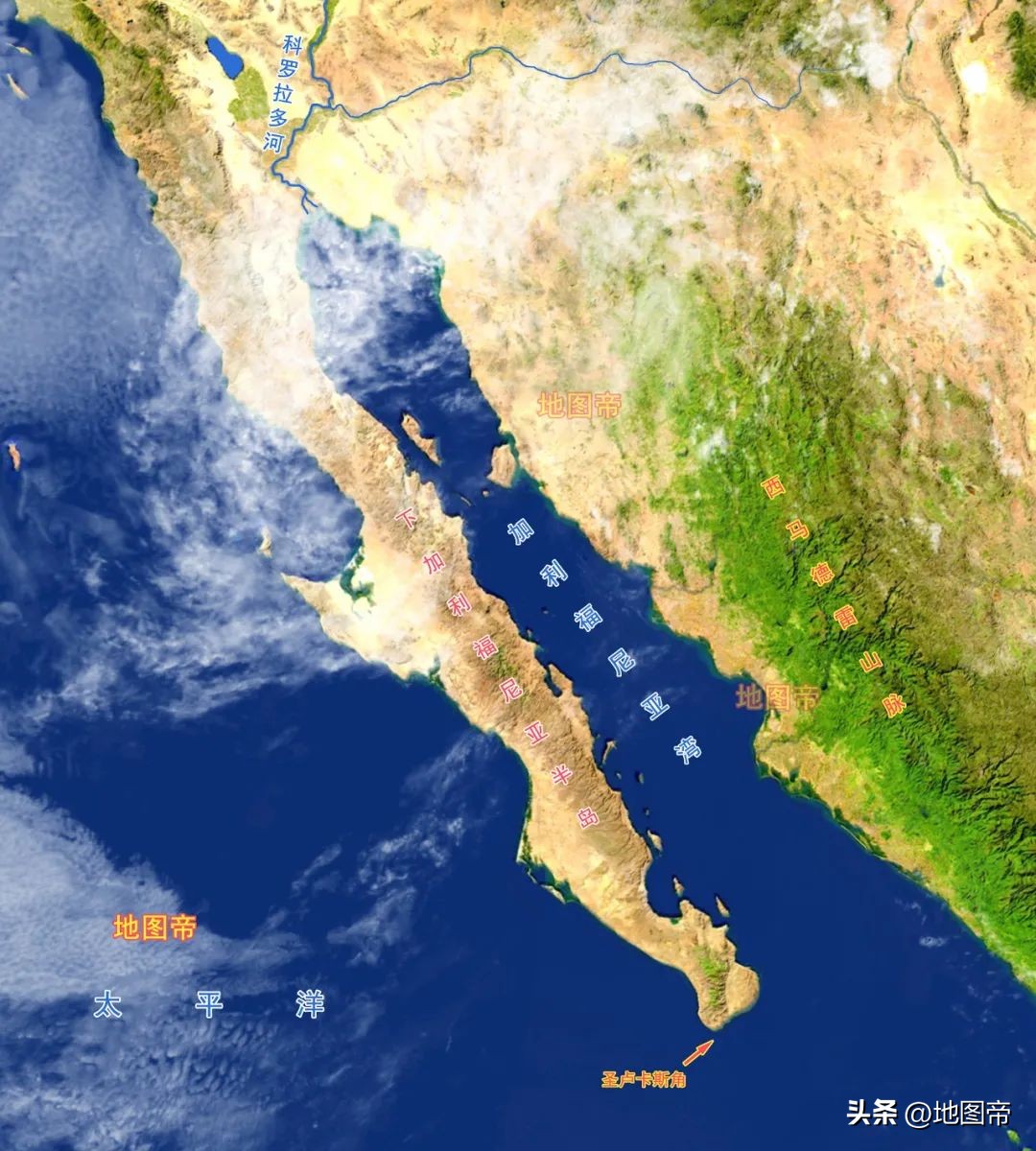 墨西哥为什么赢德国,墨西哥为什么赢4球才出线