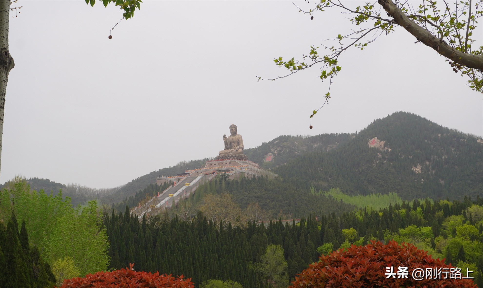龙口南山旅游景区现在免费吗,龙口南山大佛和南山旅游景区