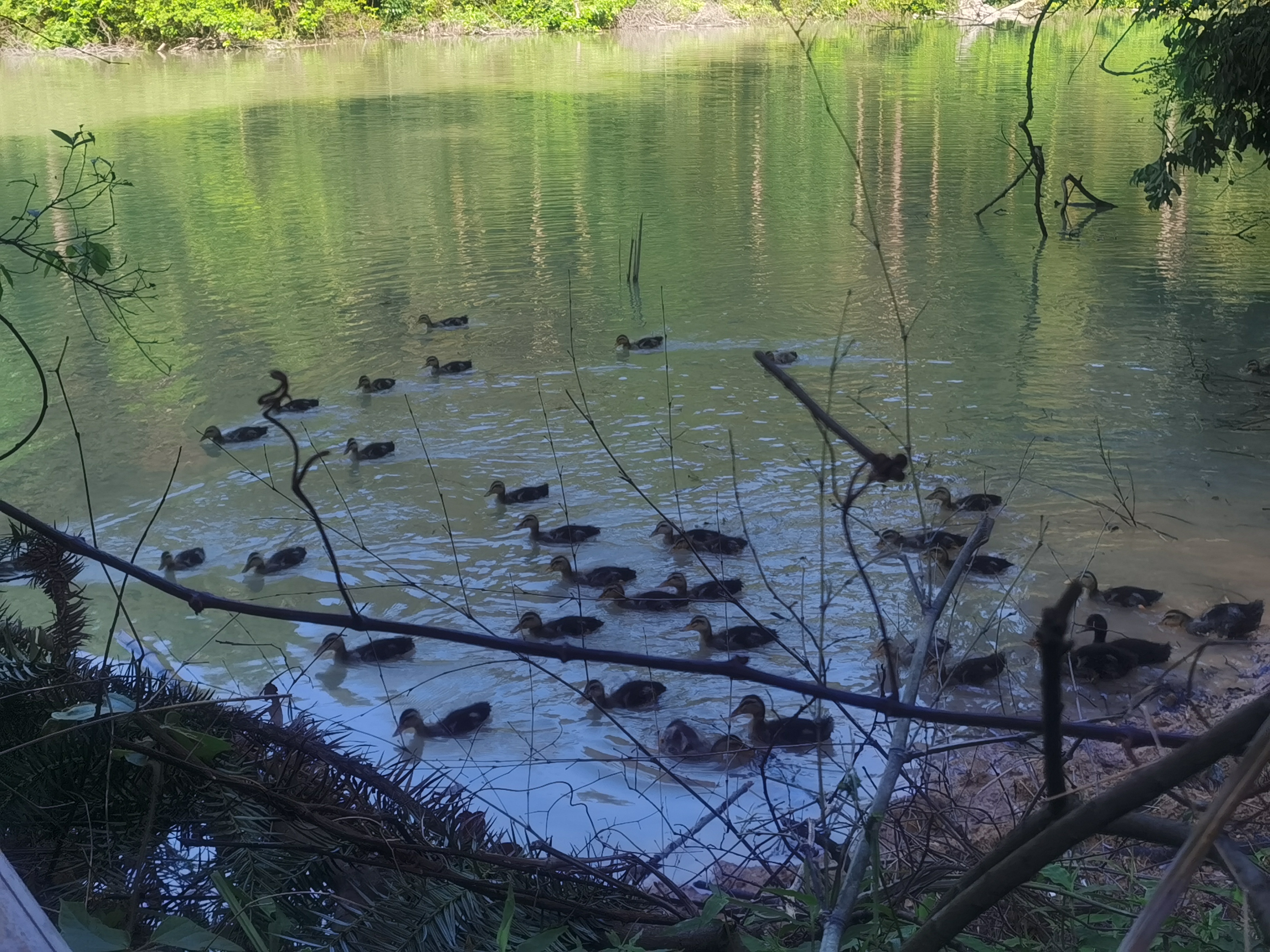 在乡下干活累死了,种地一亩地能赚500块钱吗