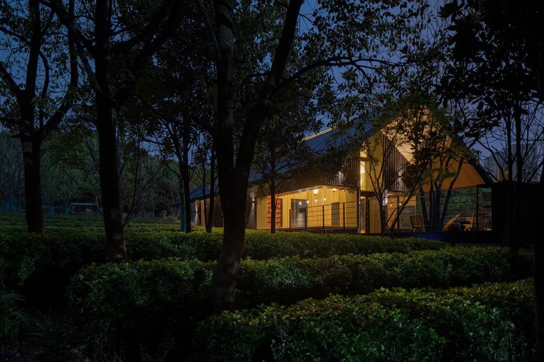 中国茶申遗成功吗,中国茶申遗成功44项名单