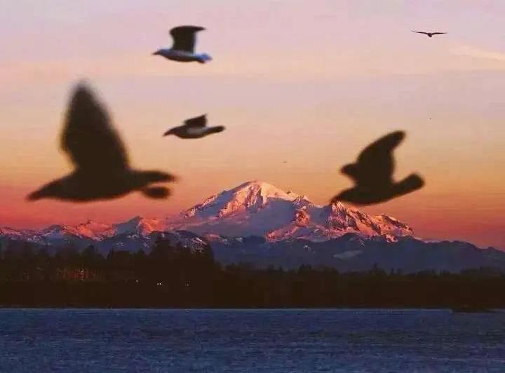 情侣套图头像加朋友圈背景图,情侣图片一男一女唯美套图