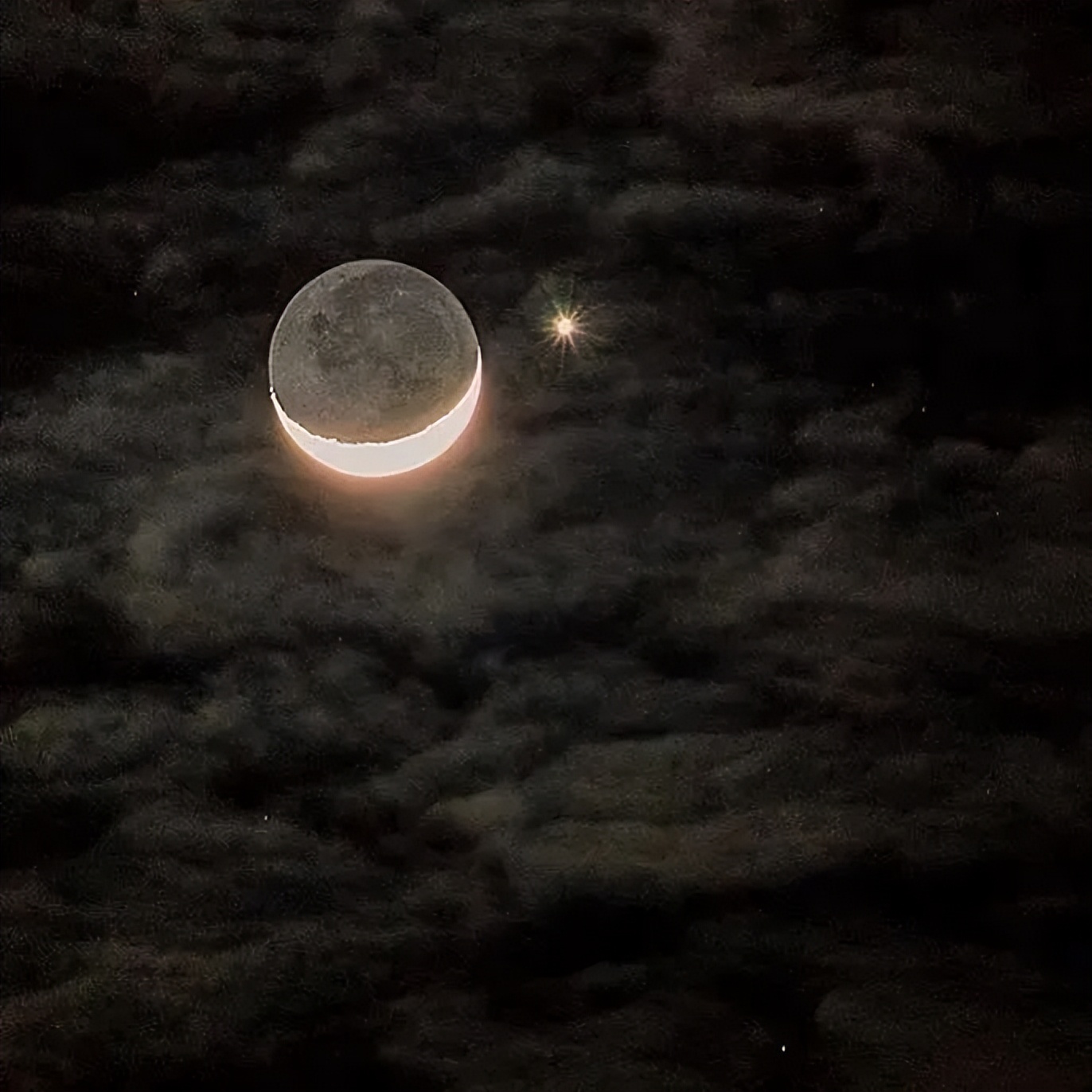 天蝎座是个优秀的猎手,天蝎座高级的猎手