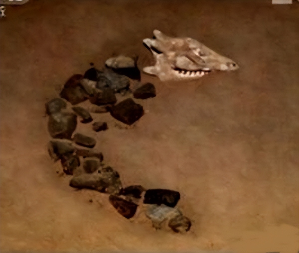 乌克兰，我们7000年的老姑婆，您还好吗