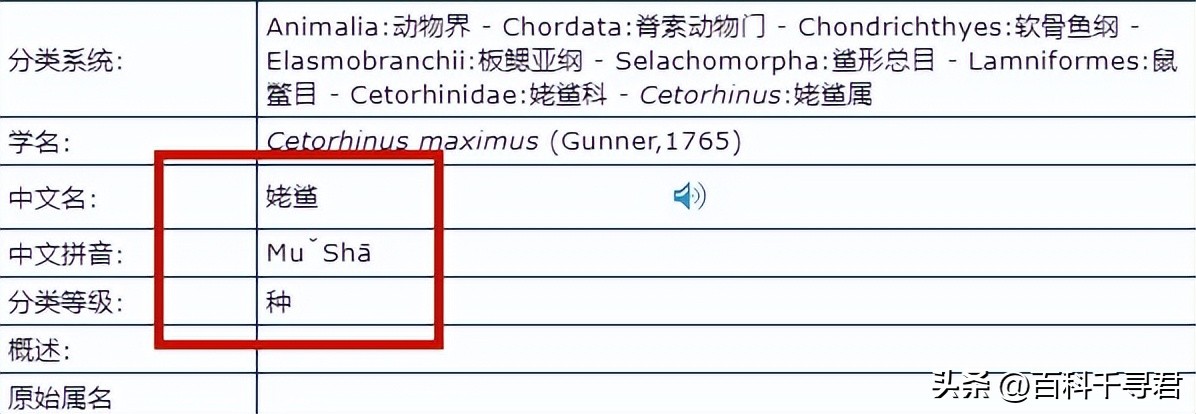 翻车鲀是世界上最大的硬骨鱼类吗,翻车鲀是世界上最大的鱼类吗