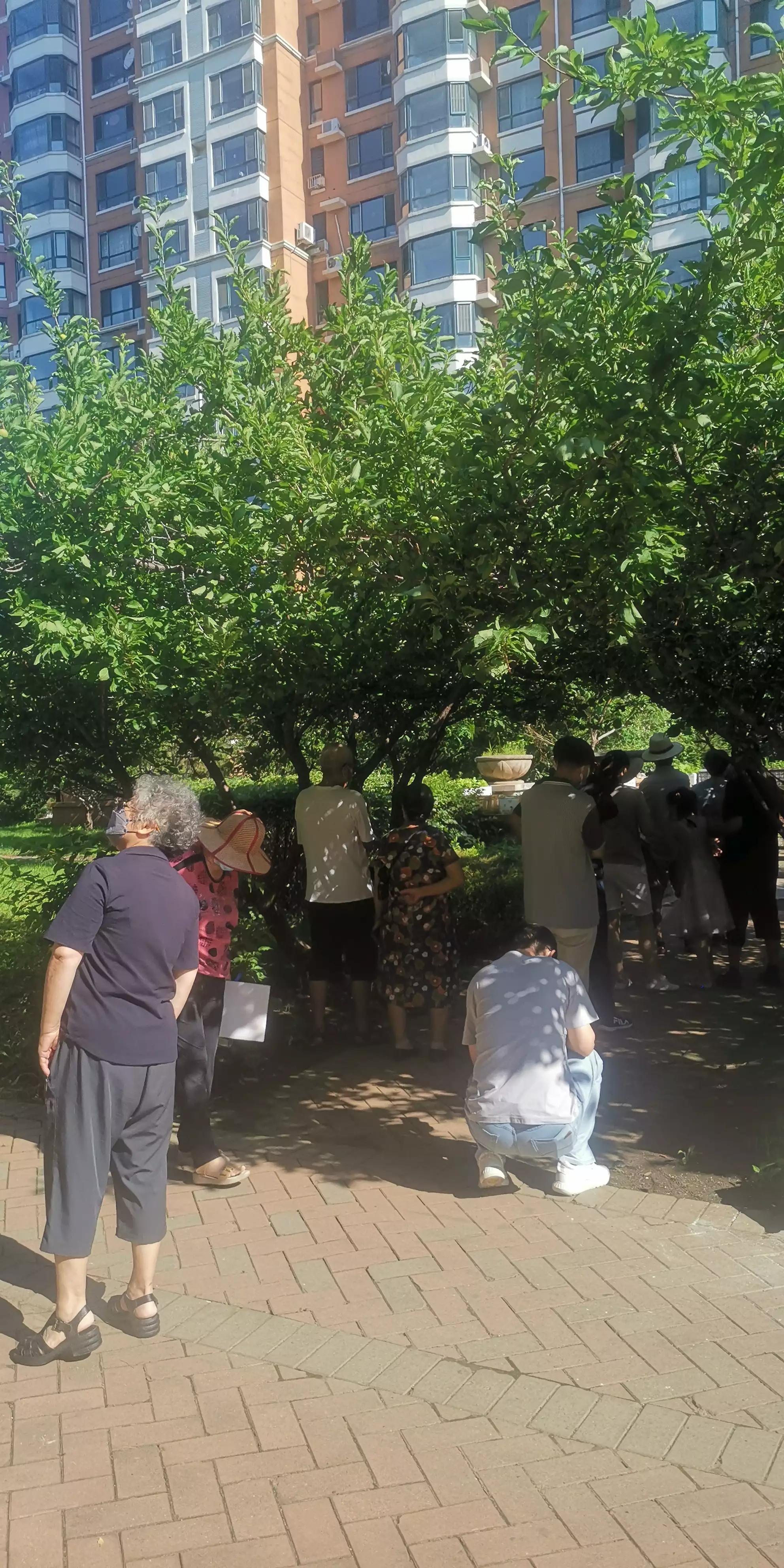 听不到蛙鸣了/艾林（外一首）