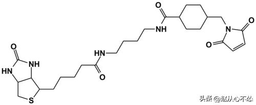 神奇的现象：在水溶剂存在下甲酰胺在TiO2表面上的扩散和浓度效应