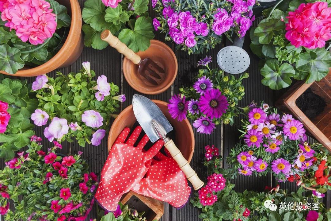 疫情过后英国电商行业,英国疫情跨境电商政策