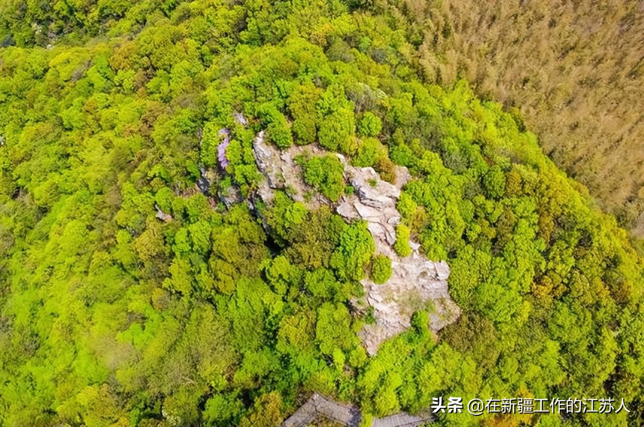 南山竹海是玩什么的,南山竹海最好的地方