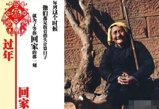 母亲一生的十个谎言,母亲善意的谎言作文