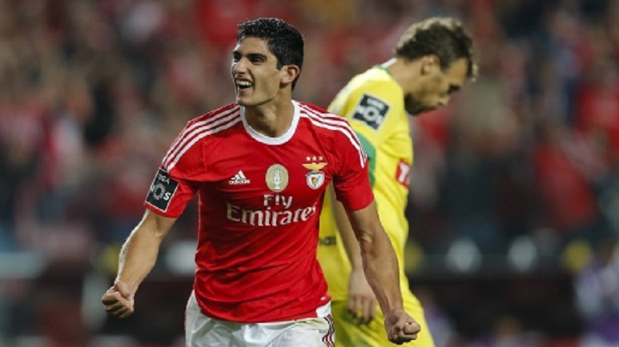 洋洋聊足球比赛,洋洋聊世界杯