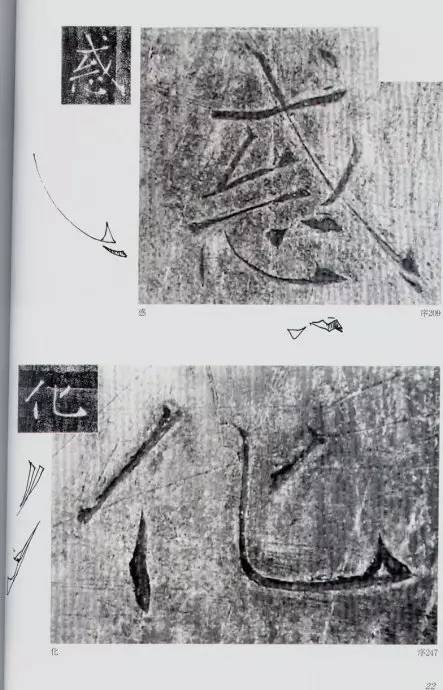 宸ョ瑪鐢绘潹鏅箟鐢诲唽,鏉滈箖鏉ㄦ櫘涔夊畬鏁寸増