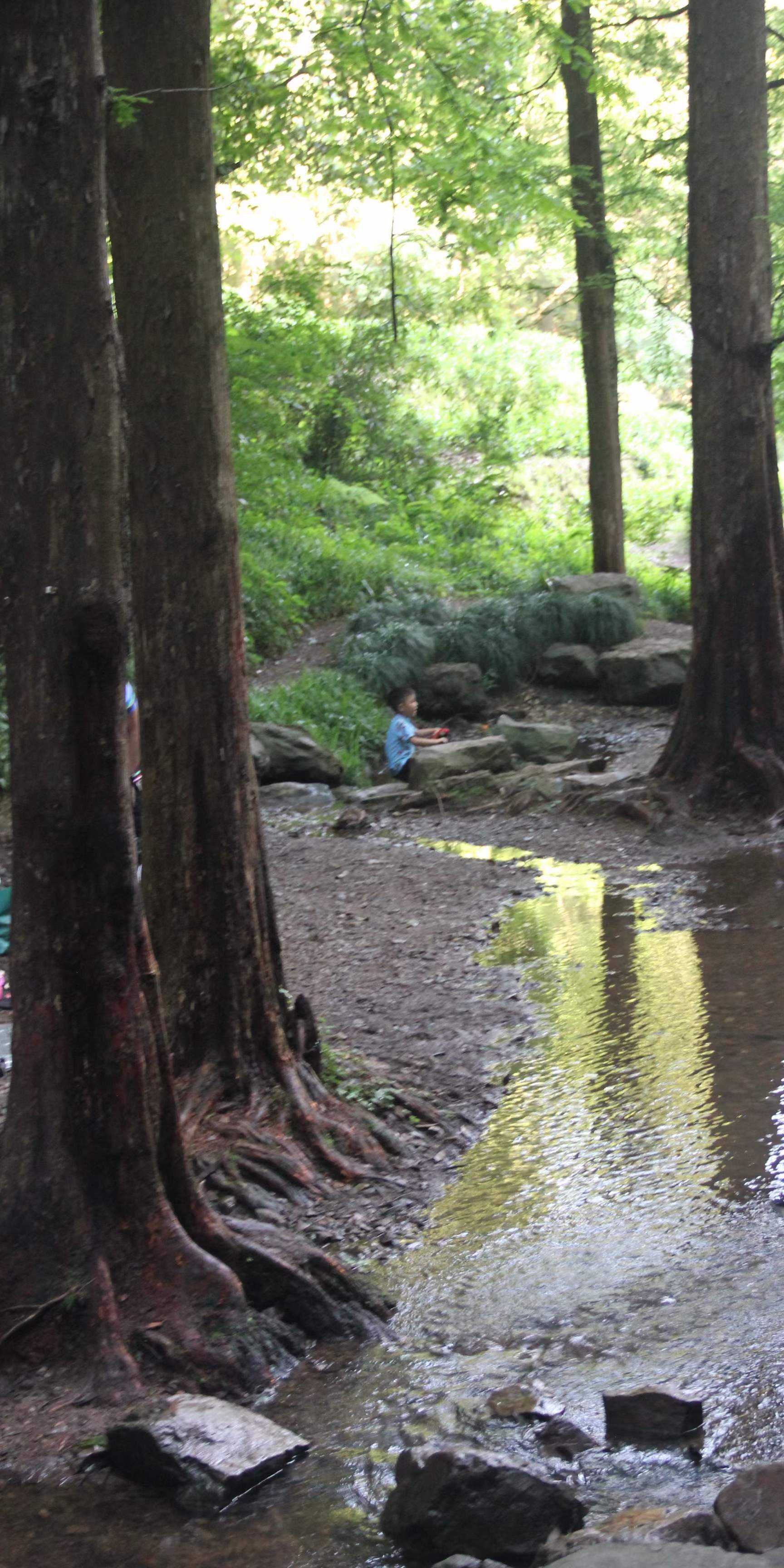 杭州避暑山庄度假村,杭州景区九溪十八涧