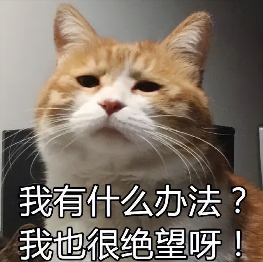 高启强为什么受观众喜欢,喜欢高启强的原因