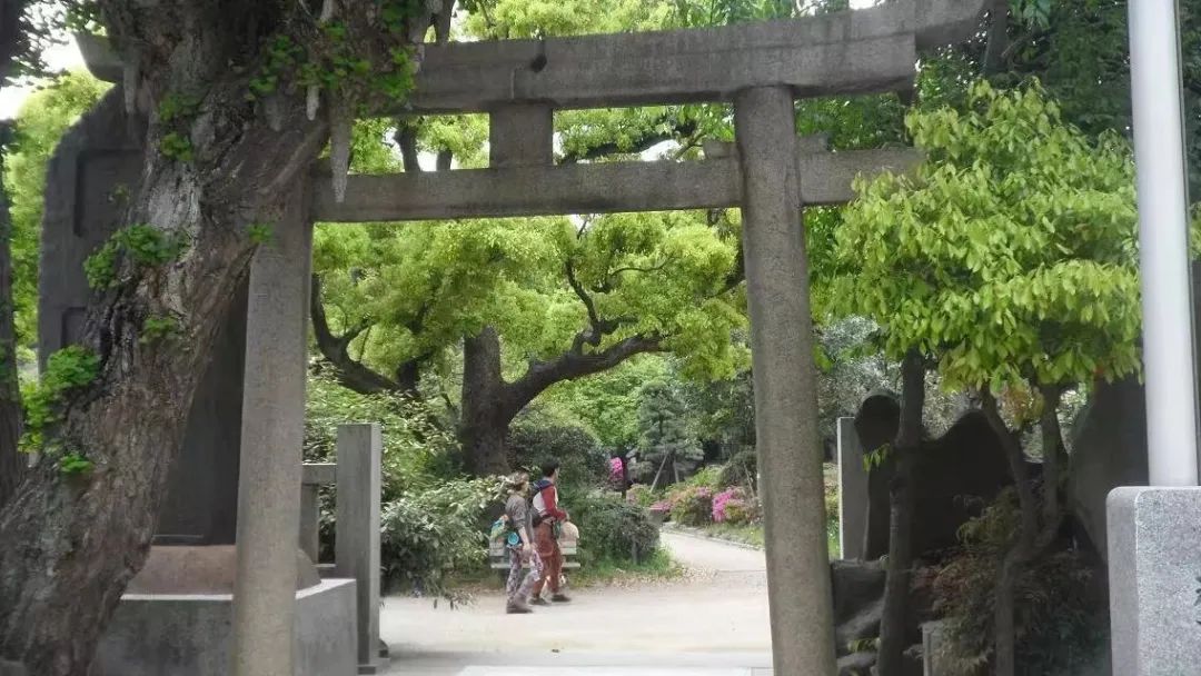 段哥直播卖车视频,段哥在抖音